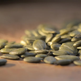 seeds / vithai