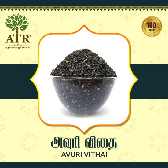 அவுரி விதை Avuri Vithai