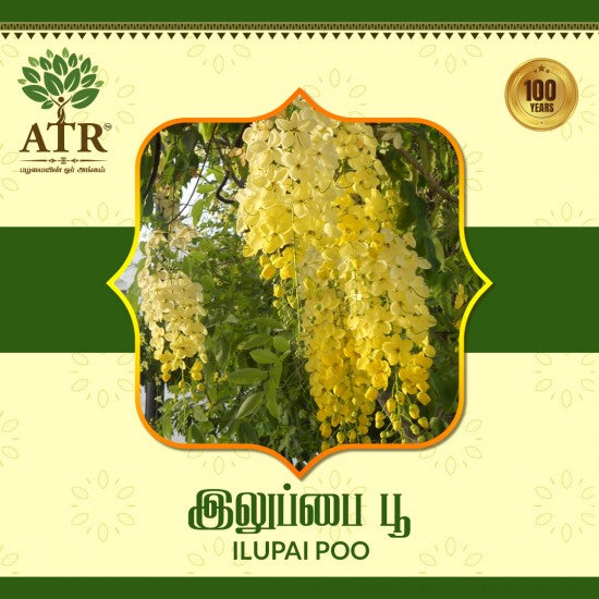 இலுப்பை பூ / Ilupai Poo