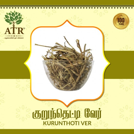 குறுந்தொட்டி வேர் Kurunthoti Ver