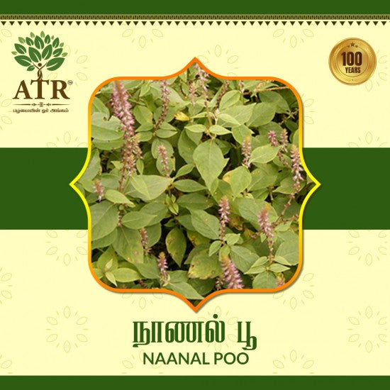 நாணல் பூ Naanal Poo
