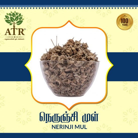 நெருஞ்சி முள் Nerinji Mul