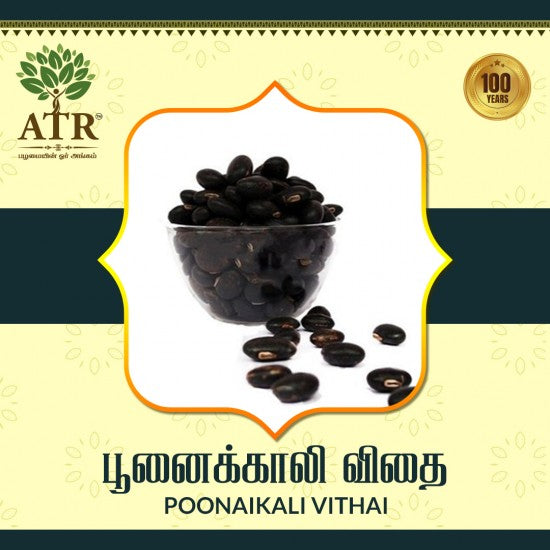 பூனைக்காலி விதை Poonaikali Vithai
