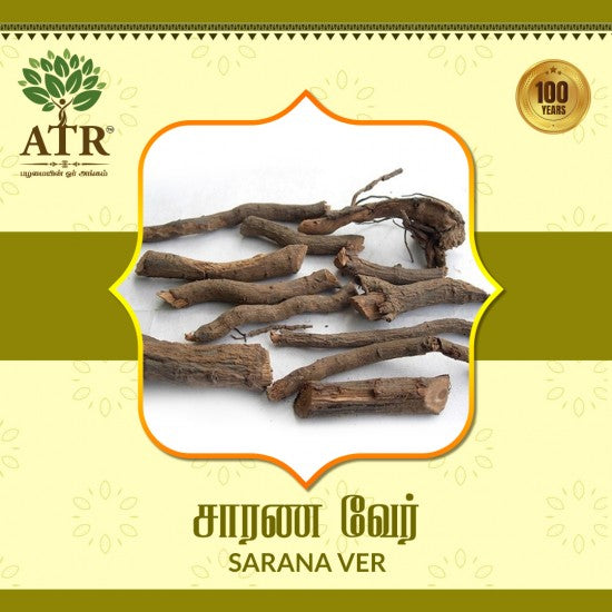 சாரண வேர் Sarana Ver