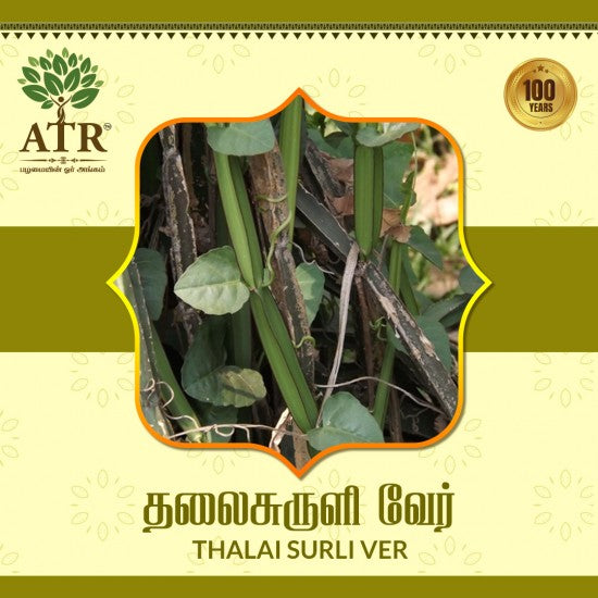 தலைசுருளி வேர் Thalai Surli Ver