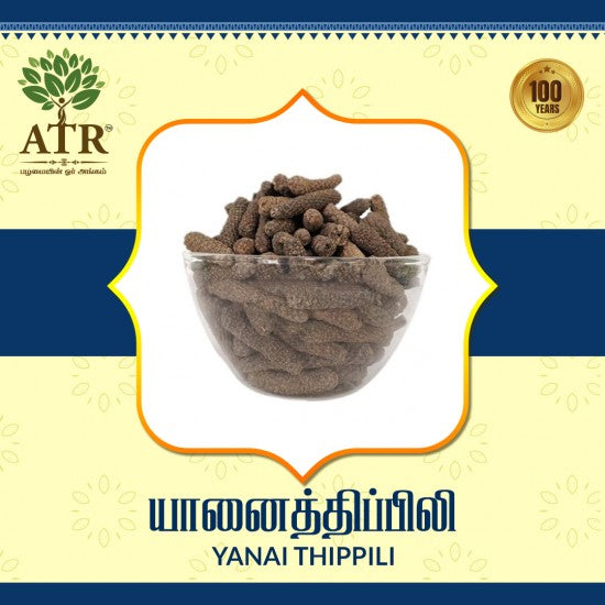 யானைத்திப்பிலி Yanai Thippili