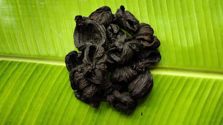KUDAM PULI