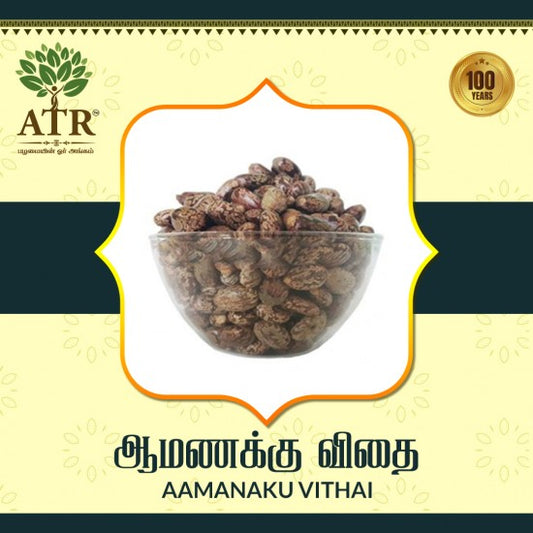 ஆமணக்கு விதை Aamanaku Vithai