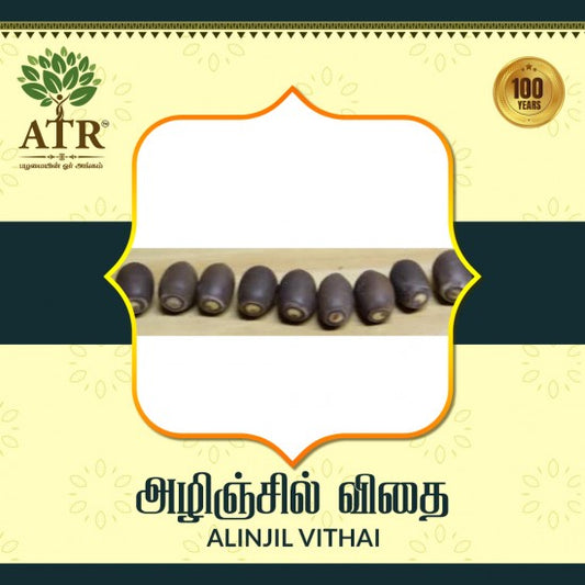 அழிஞ்சில் விதை ALINJIL VITHAI