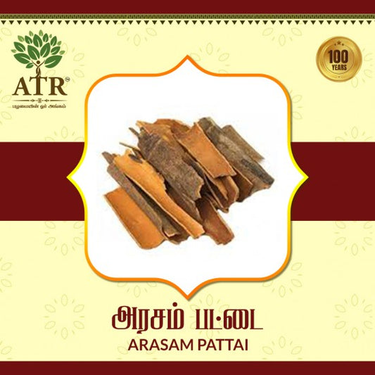 அரசம்  பட்டை Arasam Pattai