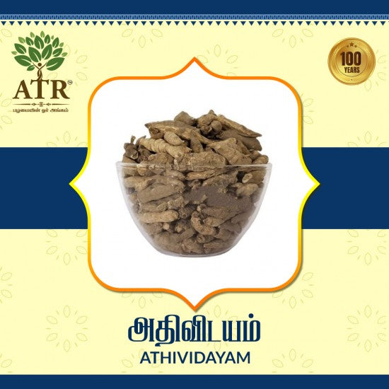 அதிவிடயம் Athividayam