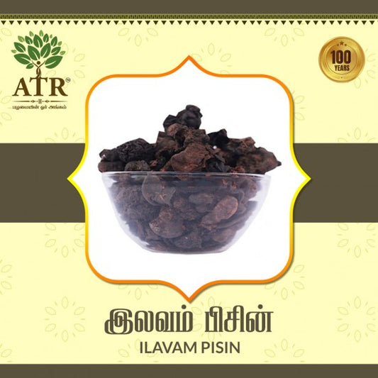 இலவம் பிசின் Ilavam Pisin