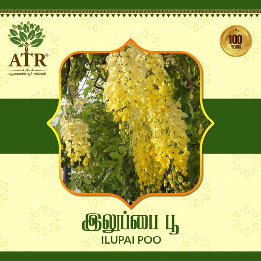இலுப்பை பூ / Ilupai Poo