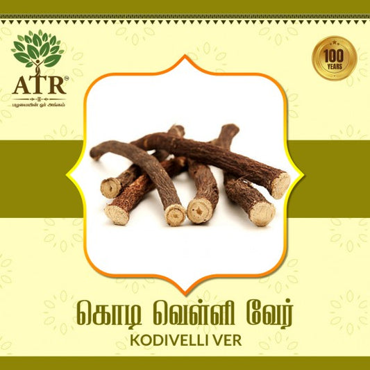 கொடி வெள்ளி வேர் Kodivelli Veru