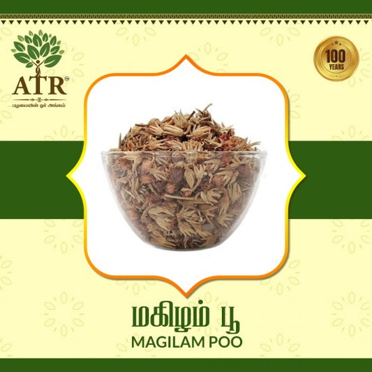 மகிழம்பூ Magilam Poo