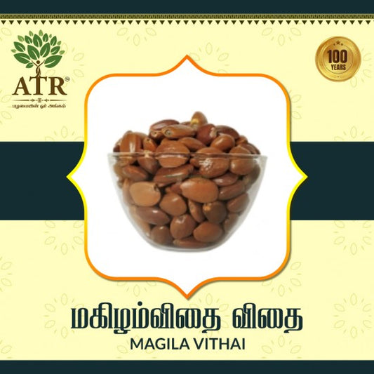 மகிழம் விதை Magila Vithai