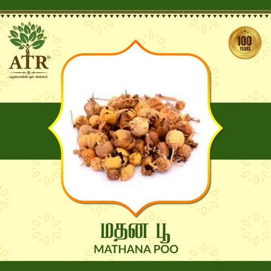 மதனகாமப்பூ  /  Madhanakama Poo.