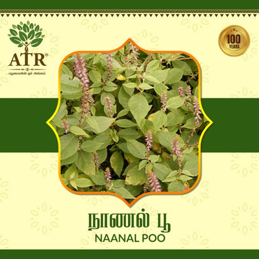 நாணல் பூ Naanal Poo