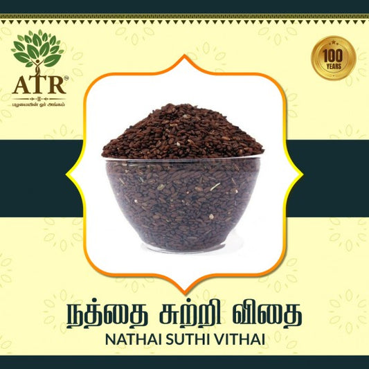 நத்தை சுற்றி விதை Nathai Suthi Vithai