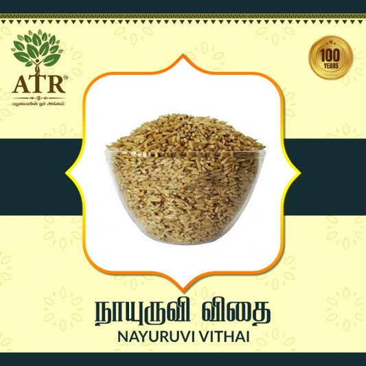 நாயுருவி விதை Nayuruvi Vithai