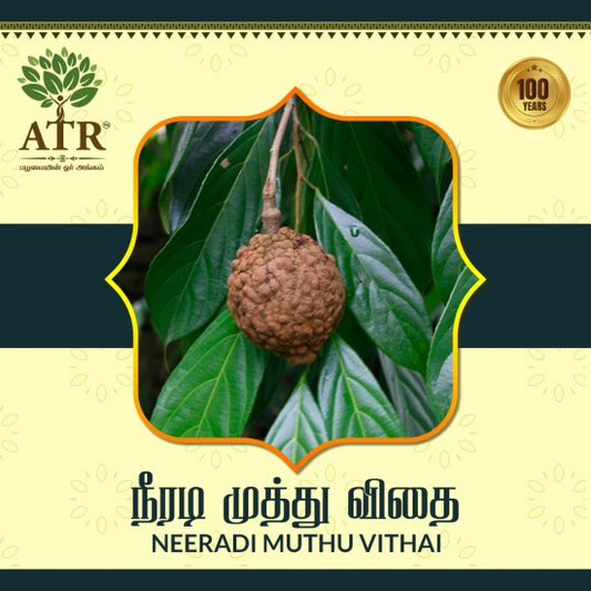 நீரடி முத்து விதை Neeradi Muthu Vithai