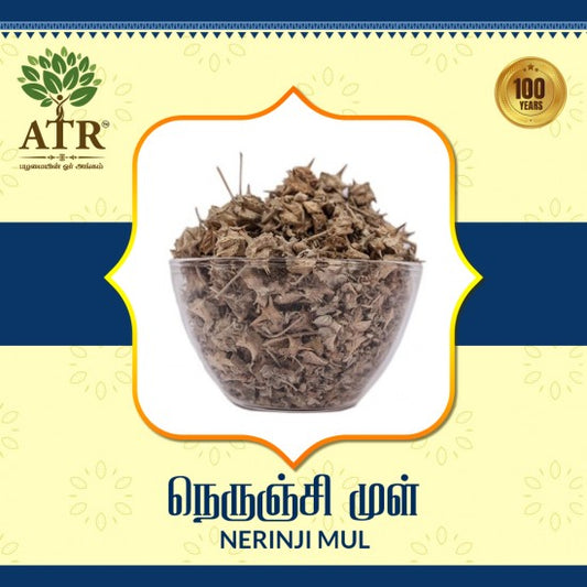 நெருஞ்சி முள் Nerinji Mul