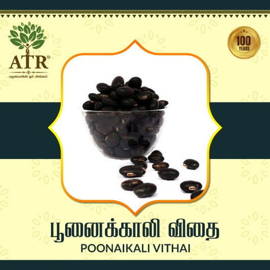 பூனைக்காலி விதை Poonaikali Vithai