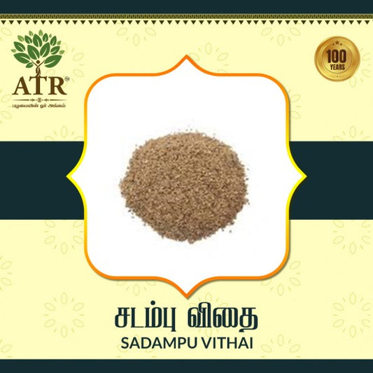 சடம்பு விதை Sadampu Vithai
