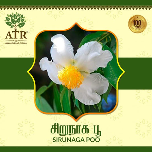 சிறுநாக பூ Sirunaga Poo