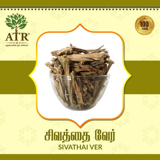சிவத்தை வேர் Sivathai Ver