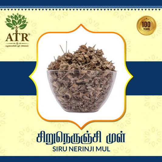 சிறுநெருஞ்சி முள் Siru Nerinji Mul