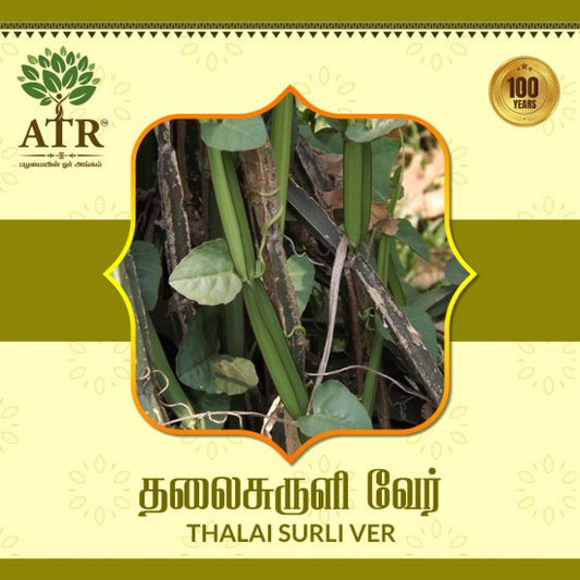 தலைசுருளி வேர் Thalai Surli Ver
