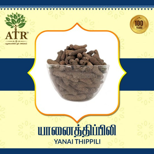 யானைத்திப்பிலி Yanai Thippili