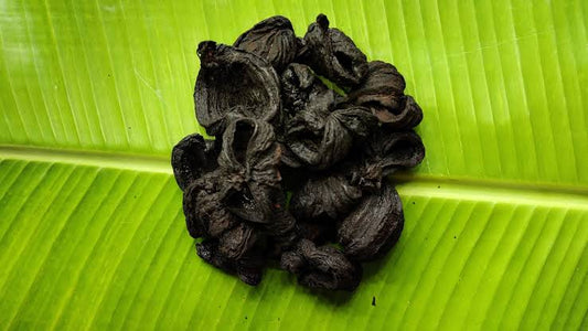 KUDAM PULI